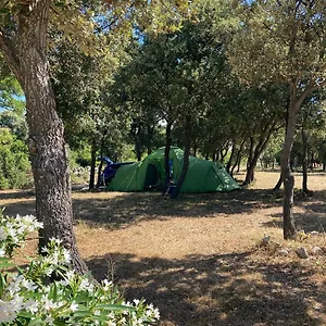 Sugar Camping Mandre